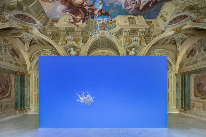 Installationsansicht Carlone Contemporary: Asta Gröting. Things 2018, 4K-UHD-Video mit Ton, 6:32 min. © 2026 Asta Gröting / Bildrecht, Wien 2026, Foto: Johannes Stoll / Belvedere, Wien